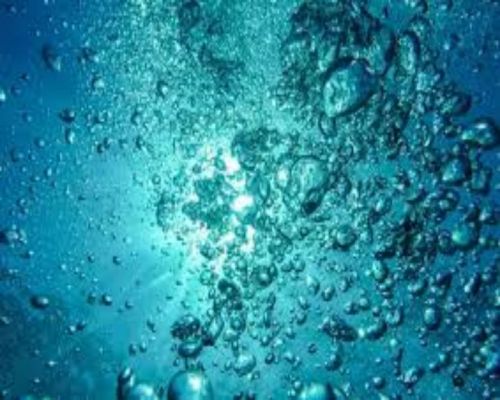 山东威海某发电厂案例：高效的乐动官方网页版海水淡化膜